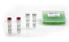 Jena-Bioscience - Model PCR-110S & PCR-110L - Multiplex PCR Master Kit