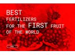 Best Fertilizers For The First Fruit Of The World