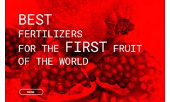 Best Fertilizers For The First Fruit Of The World