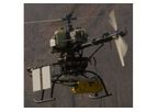 Gamma - Model L-band SAR - Compact and Versatile Synthetic Aperture Radar System