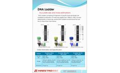 MaestroGen AccuRuler - Model 02002-500 - 100bp Plus DNA Ladder - Datasheet