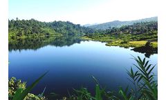Bacterial Formulations for Pond and Lakes