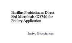 Bacillus Probiotics as Direct Fed Microbials (DFMs) for Poultry Application