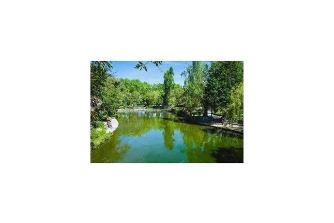 Invivo Biosciences - Model Pond Plus - Fish and Prawn Pond Probiotic Blend