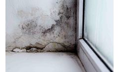Absorption solutions for mold abatement sector