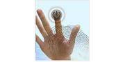 Biometric Identification Systems