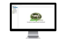 Sheepdata - Sheep Management Software