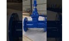 Resilient Seated Non-Ring Doulble Flanged Gate Valve -  Video
