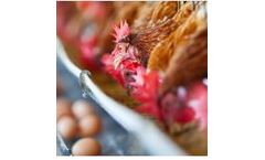 AnimalSoft - Egg Production Software