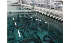 Sustainable Water Solutions for Aquaculture