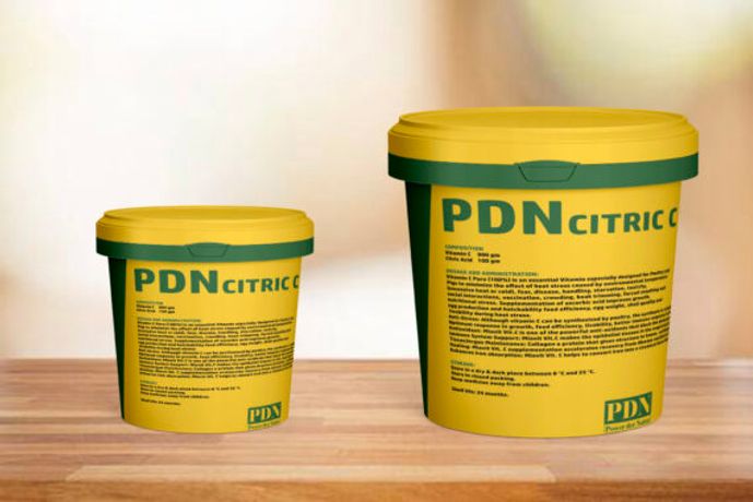 PDN - Model Citric C - Vitamin C