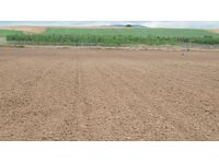 Mater-BI - Mulching Film