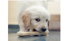 Microbial Reduction Solutions for Pet Treats & Animal Feed