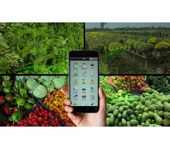 Small Farmers Agri-business Consortium – Haryana  - Case Study