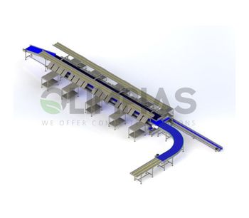 Olimpias - Table Grapes Processing Line