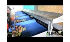 OLIMPIAS S.A. | Automatic prickly pear sorting machine,electronic fruit weight grader. - Video