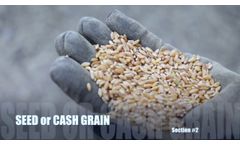 Testimonials `Almaz` grain cleaner. Awesome Agricultural Technology Inventions. - Video