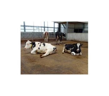 TenCate - Livestock Farming Flooring Components
