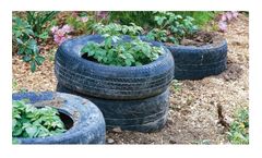 Are Tyre Planters Safe For Food Growing?