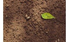 How Satellite Imagery is Helping to Transform Soil Carbon Monitoring for Growers