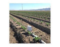 Growing Produce Focuses on Drip Irrigation