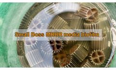 How to use MBBR Media in recirculating aquaculture system(RAS) - Video