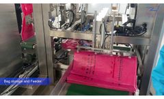 Automatic Secondary Packaging Machine Unit For Salt, Seeds, and Food Industry. - Video