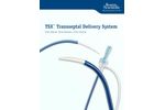 Boston - Model TSX - Transseptal Delivery System - Brochure