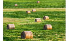 SERVODAY - Transforming alfalfa into high-energy fuel pellets with SERVODAY technology