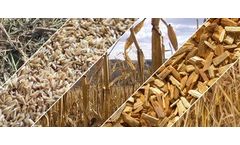 SERVODAY - Optimizing Biomass and Wood Pellet Production with SERVODAY Ring Die Pellet Mill