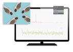 DanioScope - Zebrafish Embryo and Larvae Research Software