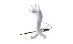 Endologix AFX - Endovascular Abdominal Aortic Aneurysm (AAA) System