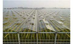 High-Tech Greenhouses could be the Future of Agriculture
