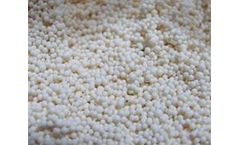 Dongli - Model D201 - Macroporous Strongly Basic Anion-Exchange Resin