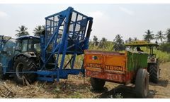 sugarcane tipping to small trolley after harvesting - Video