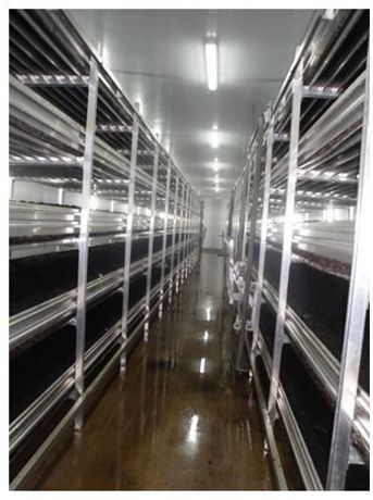 ZOEM - Racks Systems for Vertical Farming - Agriculture - Crop Cultivation