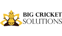 Big Cricket Solutions LLC