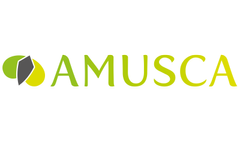 Amusca announces comprehensive training program initiative!