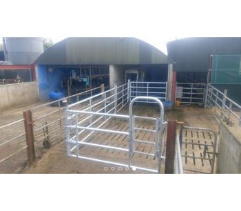 O-Donnell - Cattle Drafting System
