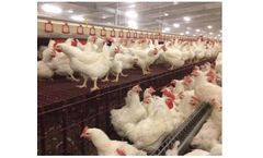 Evoteck - Laying Nest and Coated Slats for Breeders