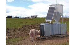 Apollo - Outdoor Electronic Sow Feeding System