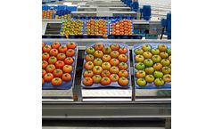 Ingeniería - Vegetables and Leafy Processing Lines Machine