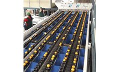 Ingeniería - Handling Line Machine for Citrus Fruit