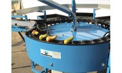 Calibrex - Used Fruit Sorting Machine