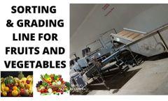Sorting and Grading For Fruits And Vegetables | Sorting & Grading Equipment | Fruit sorting machine - Video