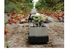 Rubion - Strawberry Picking Robot