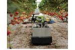 Rubion - Strawberry Picking Robot