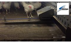 Poultry Floor Scraper System - Video
