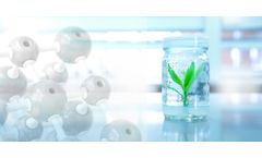 Lifeasible Released Rare Plant Tissue Culture Service to for Research Use