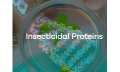 Lifeasible Updated Its Offerings for Insecticidal Proteins